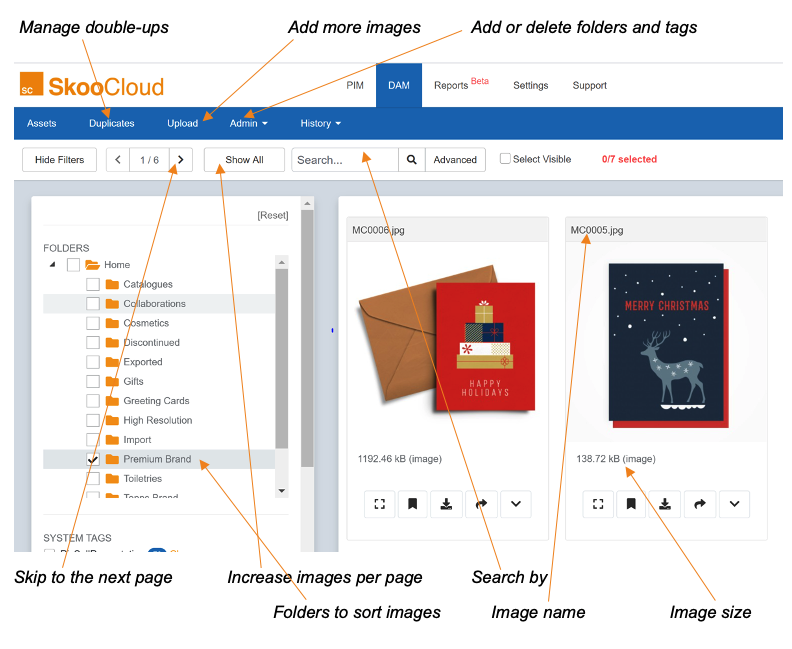 3. DAM - Using & Managing Assets in SkooCloud