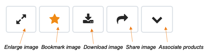 3. DAM - Using & Managing Assets in SkooCloud