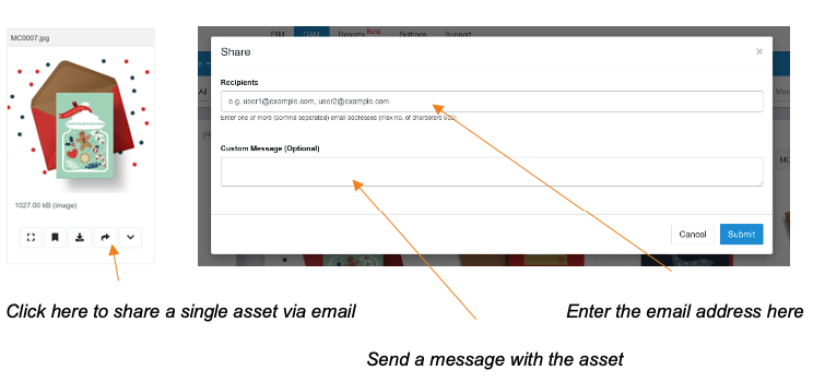 3.1 Assets: Sharing and Distributing Media